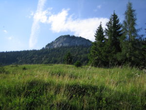 Sommerau