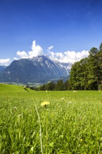 BioParadies_SalzburgerLand_Sommerau_10