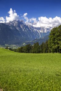 BioParadies_SalzburgerLand_Sommerau_8