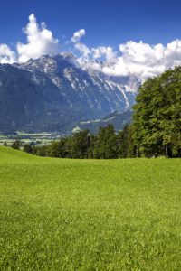 BioParadies_SalzburgerLand_Sommerau_9
