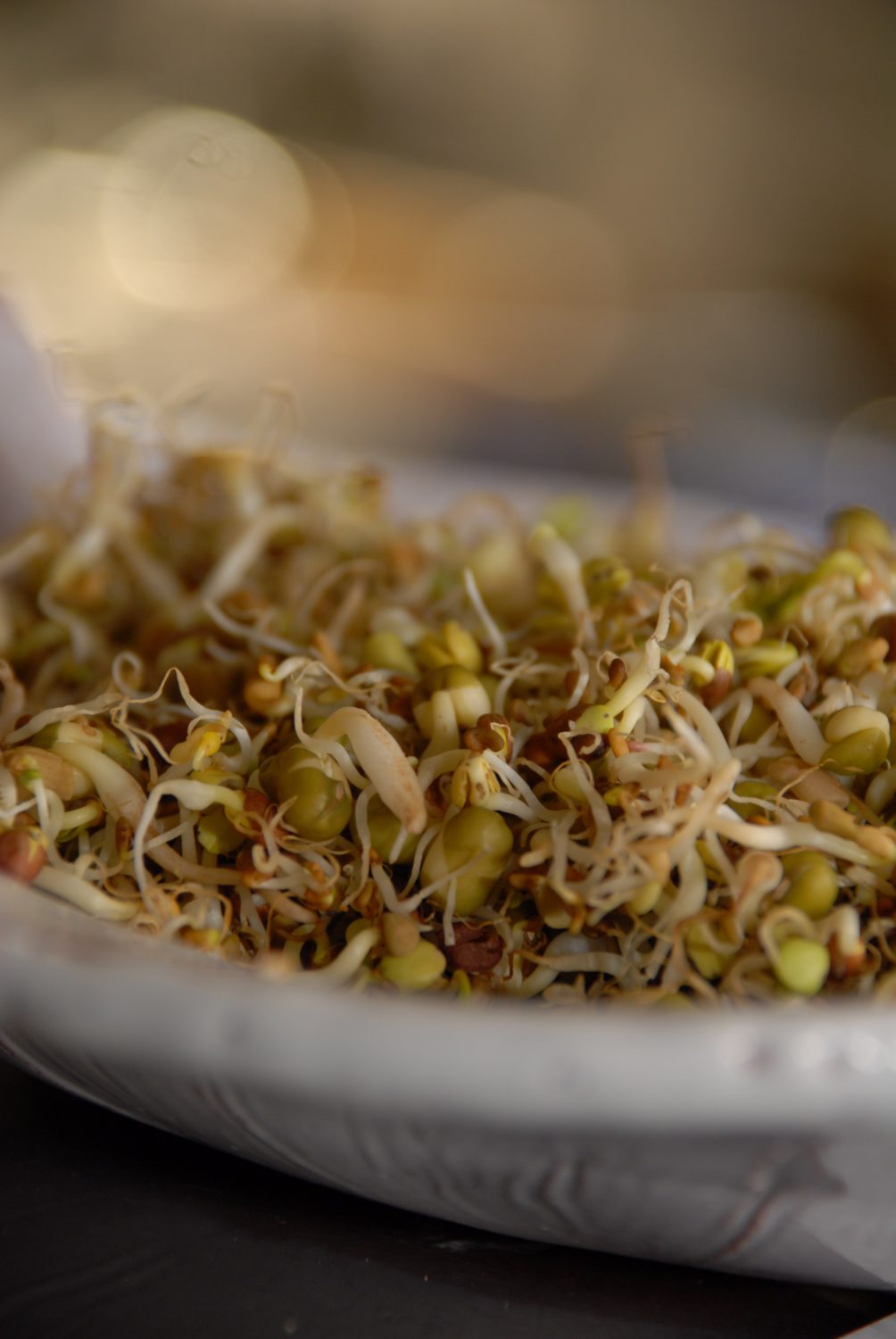 Krautwickler nach vegetarischer Art