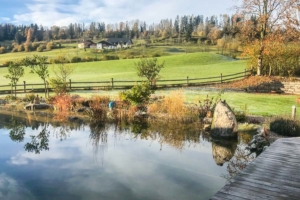 Naturbadeteich im Herbst