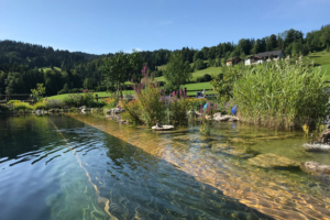 Naturbadeteich des Biohotel Sommerau bei Sonnenschein