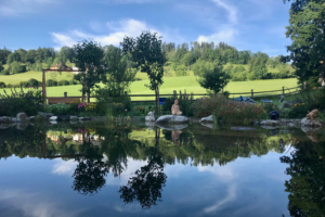 Ein Ort zum Erholen – Naturbadeteich des BioVitalHotel Sommerau
