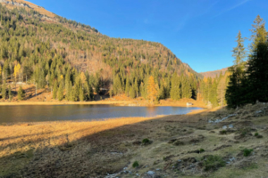 Seewaldsee im Herbst – Kraftplätze im Tennengau