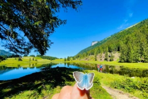 Seewaldsee in St. Koloman im Salzburger Land – Biohotel Sommerau